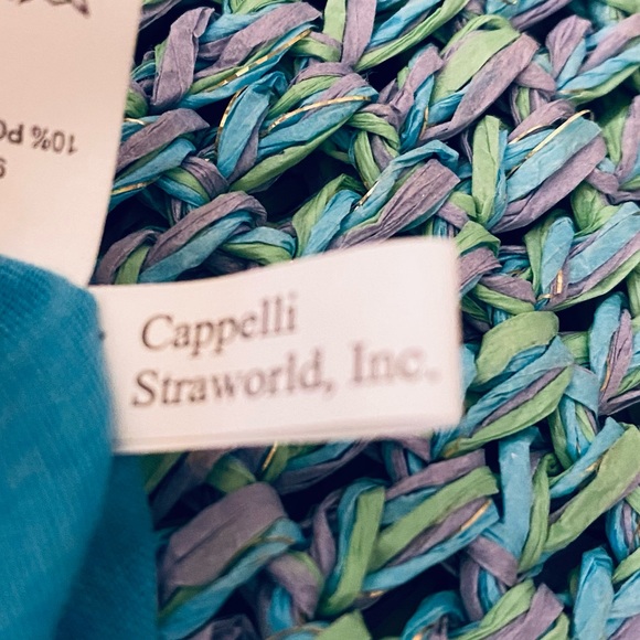 🌟HP🌟NWOT Boho Aqua & Wood Bead Toyo Straw Crossbody Bag by Cappelli Straworld - Picture 4 of 13